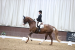 SBM_02312