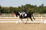 SBM_006488