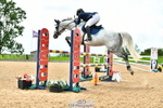 Cls 3 Foxhunter portfolio