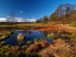 Rocher Bog (01)