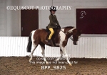 BPP_9825
