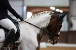 SBM_003537