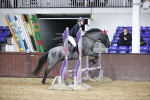 SBM_001148