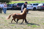 WJ6_4789