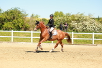 SBM_000946