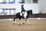 SBM_008710