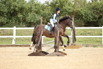SBM_002900