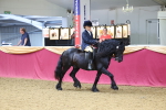 SBM_24218