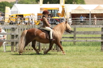 SBM_05382