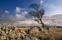 Dales View - Hawes