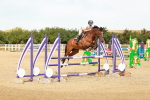 SBM_003536