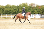 SBM_001615