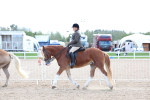 SBM_17169
