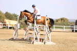 SBM_006782