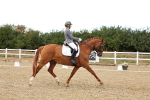 SBM_007560