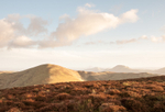 Yearlet and Caer Caradoc from Grindle