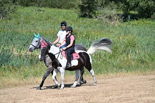 WJ7_7741