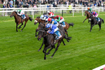 130526-Race 4-Elmonjed-0242