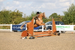 SBM_03336