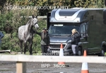 BPP_3609