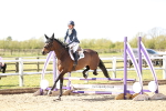 SBM_001762