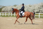 SJ3_1151