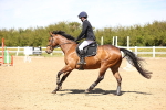 SBM_002247