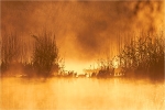 Fiery Mere