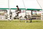SBM_20118
