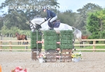 BPP_4104