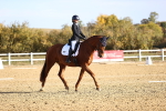 SBM_009053