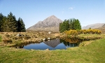 Glencoe area-1