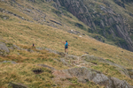 Peris Horseshoe-209