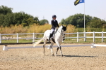 SBM_006623
