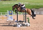 BPP_2006