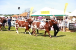 SBM_08331