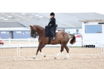 SBM_03226