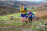 Stybarrow Dodd-482