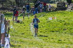 The Finish-2072