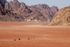 Wadi Rum, Jordan Going Home !