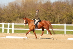SBM_003432
