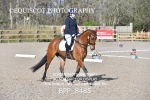 BPP_8485