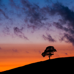 Dusk at the Roaches