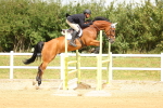 SBM_010231