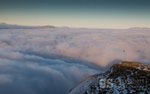 Raven above the clouds, Cadair Idris