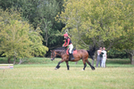 WJ6_1522