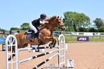 Cls 35 Pony Foxhunter and 1.10m Open portfolio
