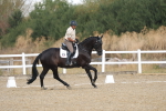 SBM_008584