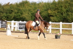 SBM_009395