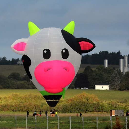 Minnie Moo, the cow balloon, is a fan favorite at the Atlantic Balloon Fiesta in Sussex, NB, Canada